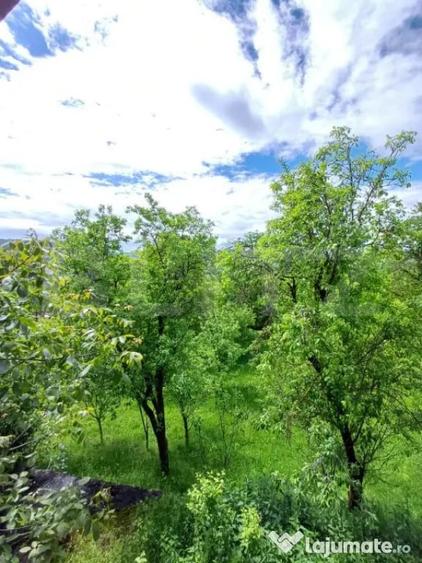 Casă cu 4 camere cu Teren 4873 Mp în Moldovenești