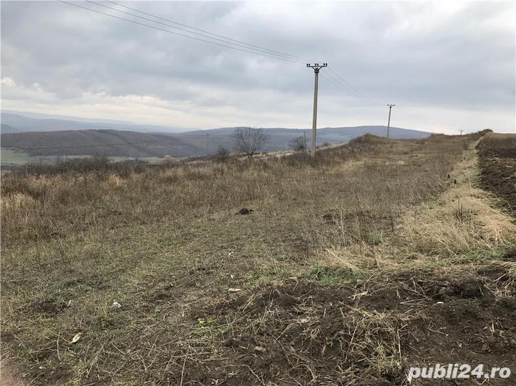 Teren de 5800 mp, în Central