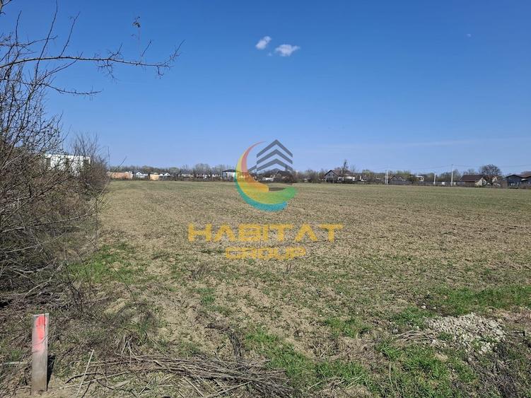 Teren Construcții intravilan de 3756 mp, în Est