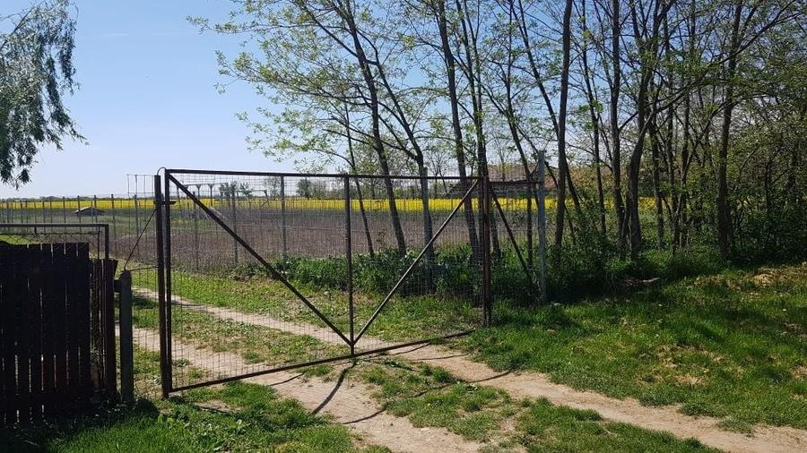 Teren de 500 mp, în Independența