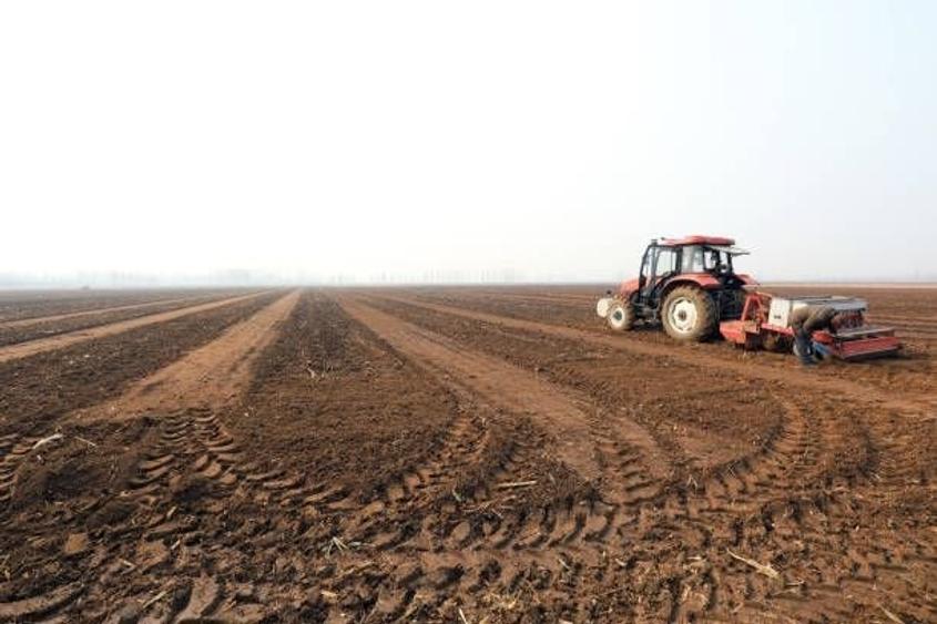 Teren agricol extravilan de 1100000 mp, în Stâlpu