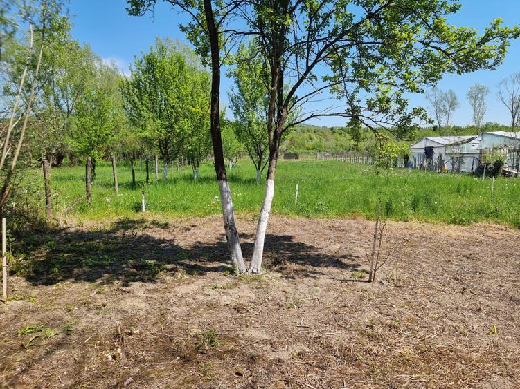Teren Construcții intravilan de 1809 mp, în Moțăieni