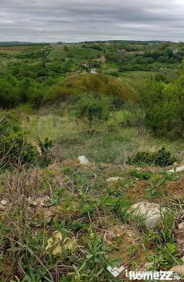 Teren în Paleu