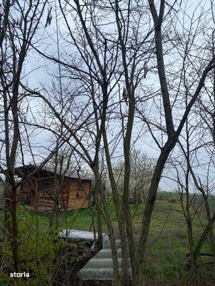 Teren de 5000 mp, în Lazuri