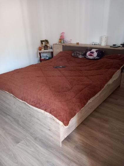 Vand o proprietate cu 2 cladiri Cazasu, Satuc. Schimb - 2