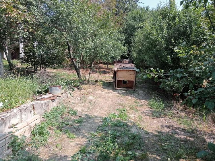 Teren de 25 mp, în Prilog
