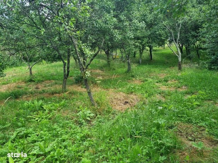 Casă cu 2 camere în Hobița