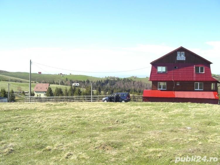 Teren de 10632 mp, în Paltin