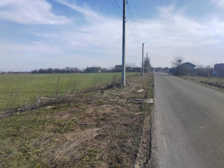 Teren de 8650 mp, în Cernica