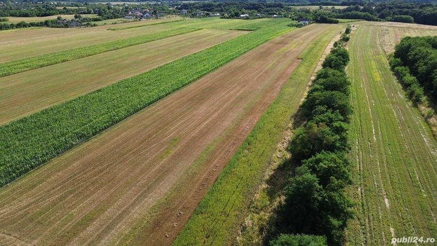 Teren de 11000 mp, în Lăceni