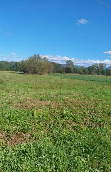 Teren Construcții intravilan de 699 mp, în Nord