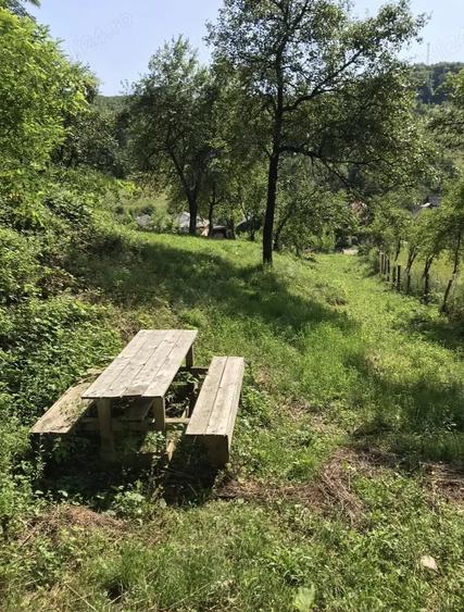 Teren de 1000 mp, în Băbana
