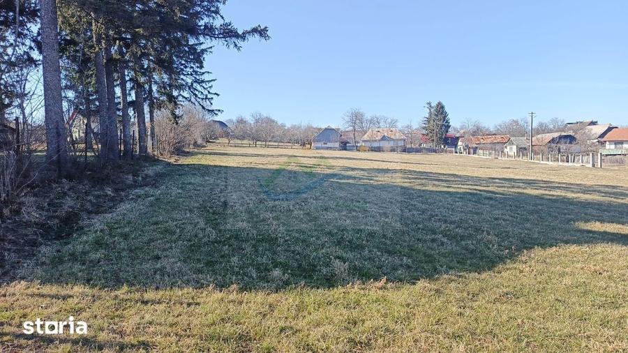 Teren de 4700 mp, în Brusturi