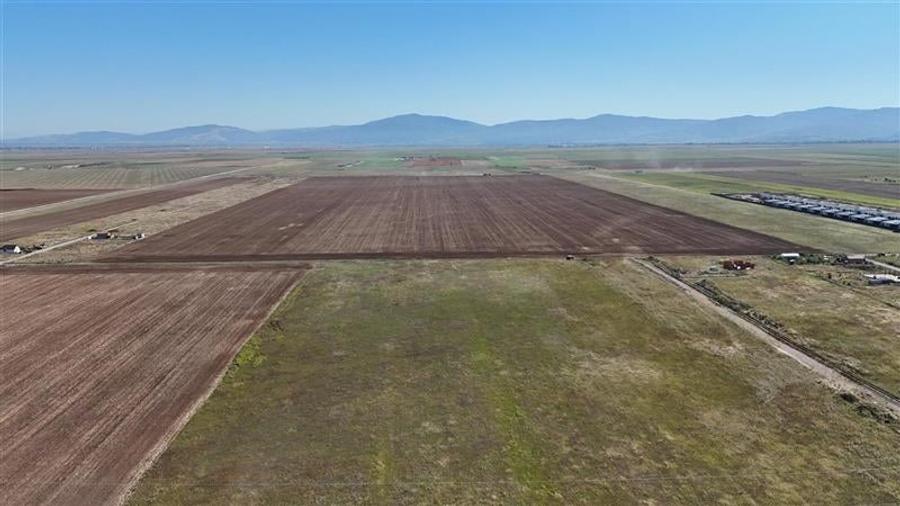 Teren agricol extravilan de 92700 mp, în Tărlungeni