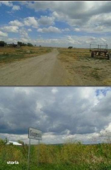 Teren de 7500 mp, în Vrancea