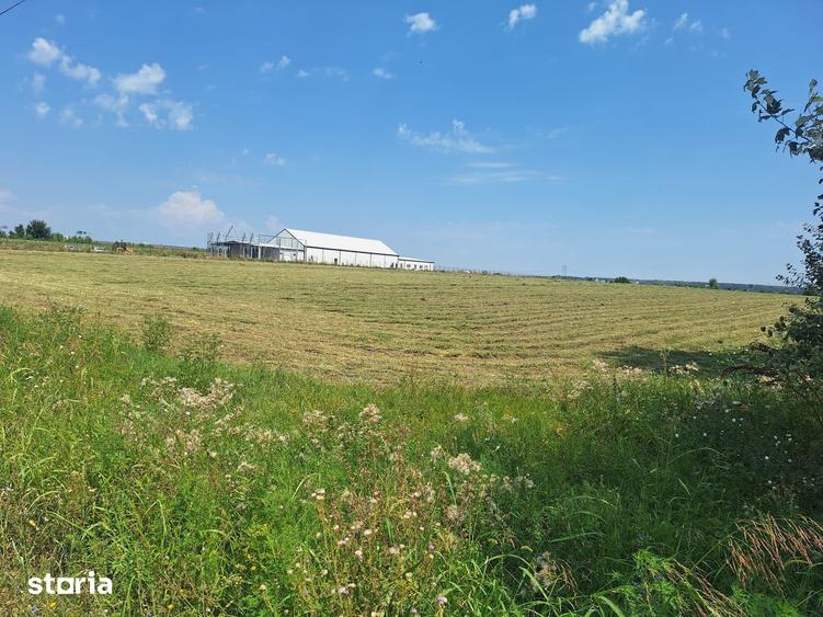 Teren de 23298 mp, în Ciorogârla