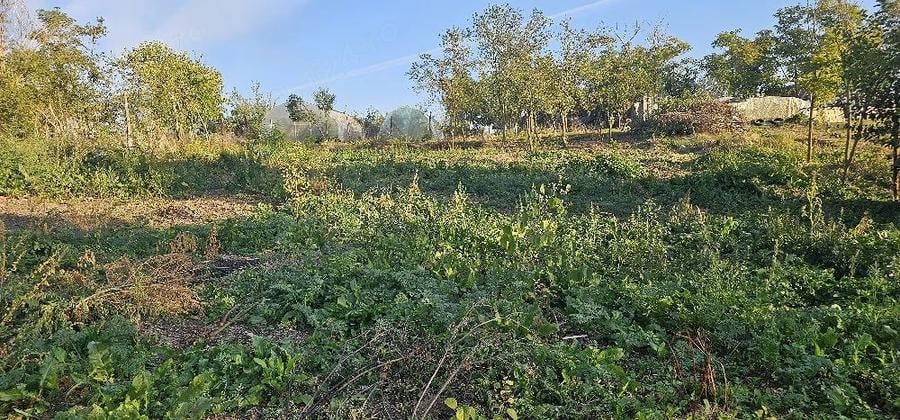 Teren de 840 mp, în Comoara