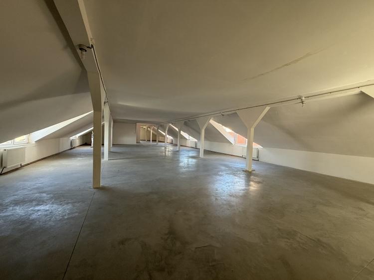 Spațiu comercial, de 800 mp, în Cetate