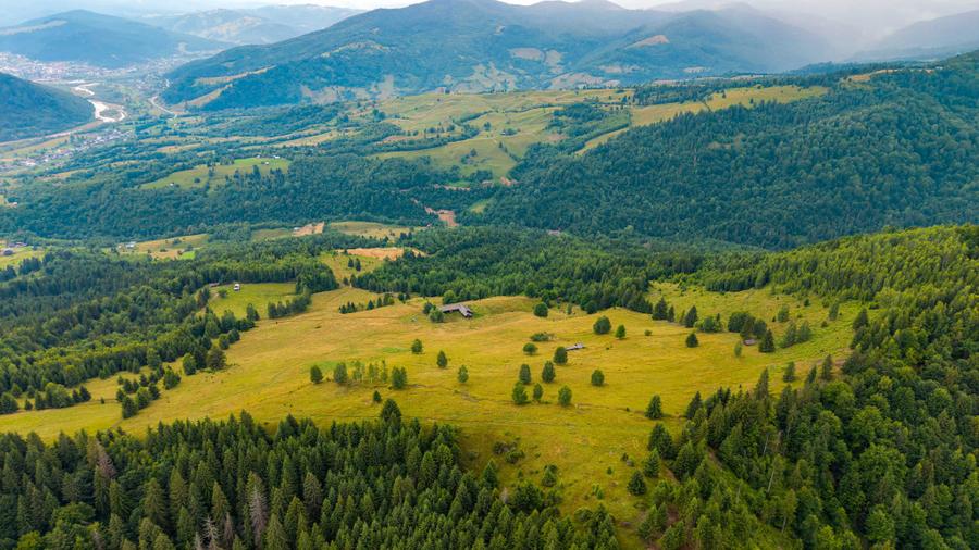 Teren de 170000 mp, în Vama