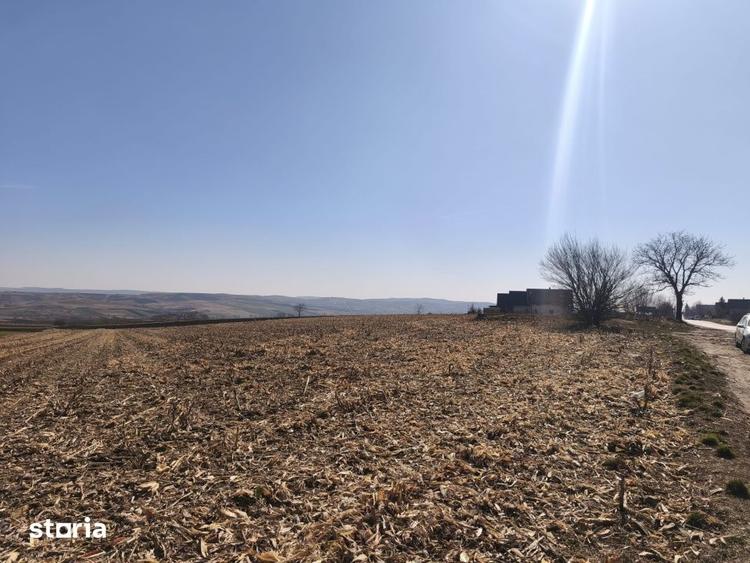 Teren de 6500 mp, în Grănicești