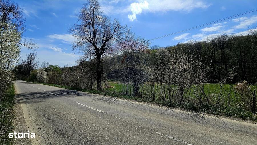 Teren de 10000 mp, în Vânători-Neamț