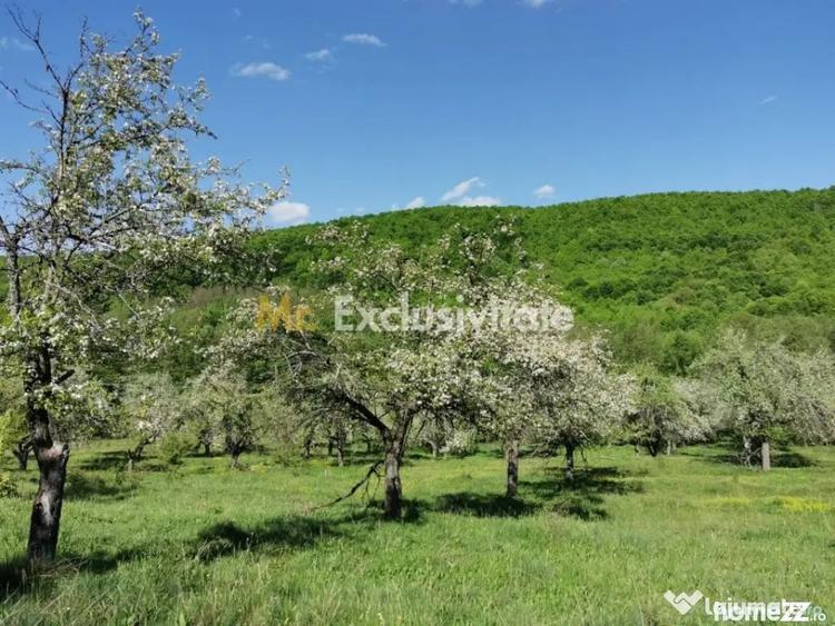 Teren în Budeasa