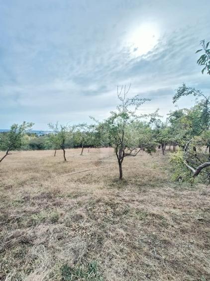 Teren Construcții intravilan de 1693 mp, în Geamăna