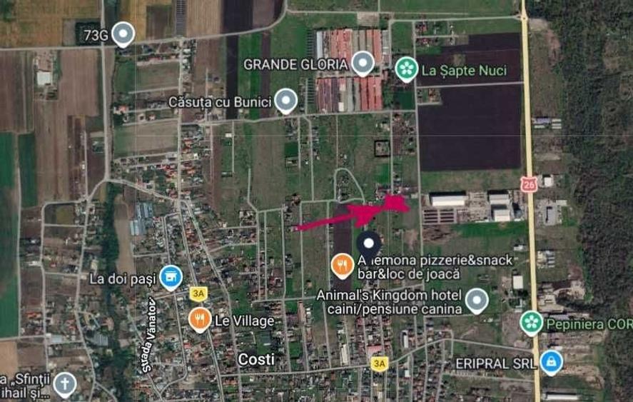 Spațiu comercial, în Costi