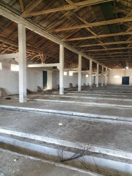 Proprietate specială, 4000 mp în Central
