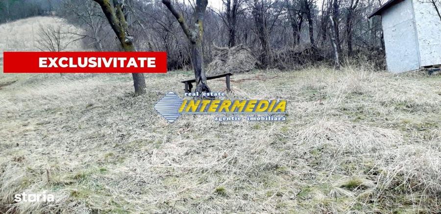 Teren Intravilan in Paclisa 1450 mp cu Puz aprobat - 1