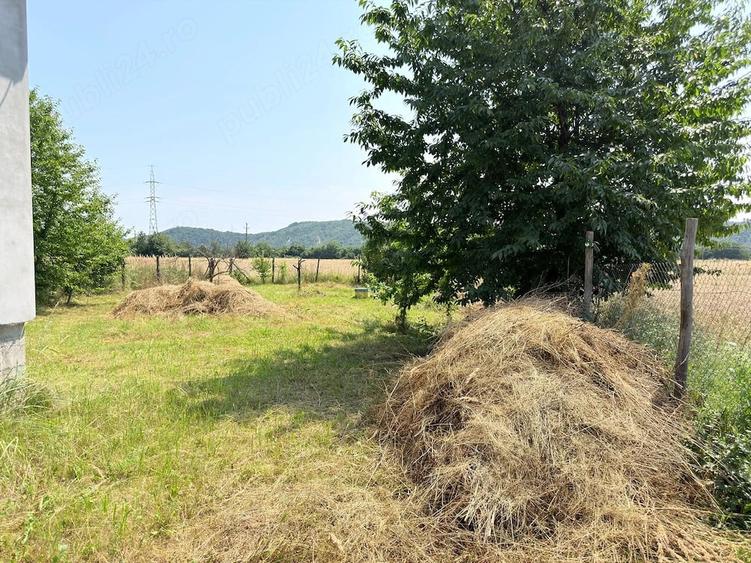 Casă cu Teren 5500 Mp în Central
