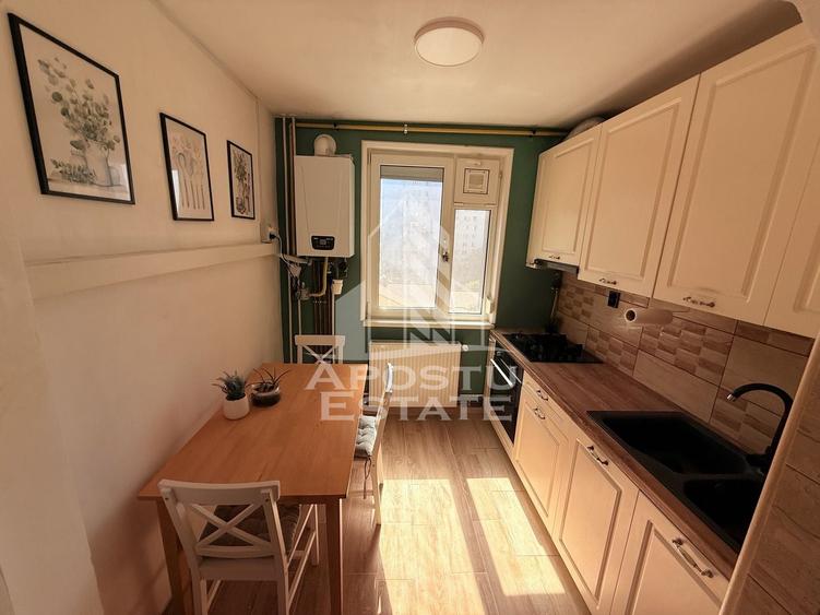Apartament 2 camere de inchiriat, Centrala proprie, Sagului, Timis - 3
