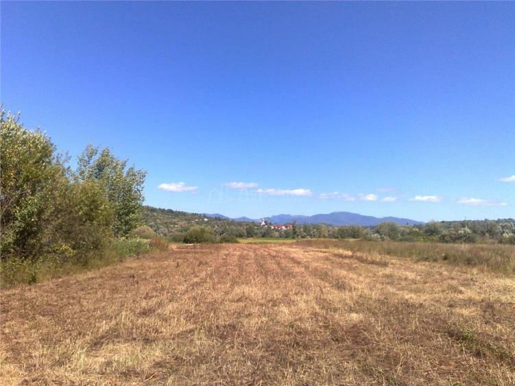 Teren de 5500 mp, în Central