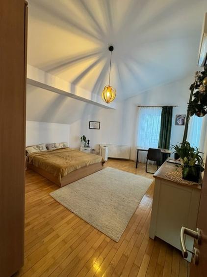 Apartament cu 3 camere decomandat, mobilat în Valea Borcutului