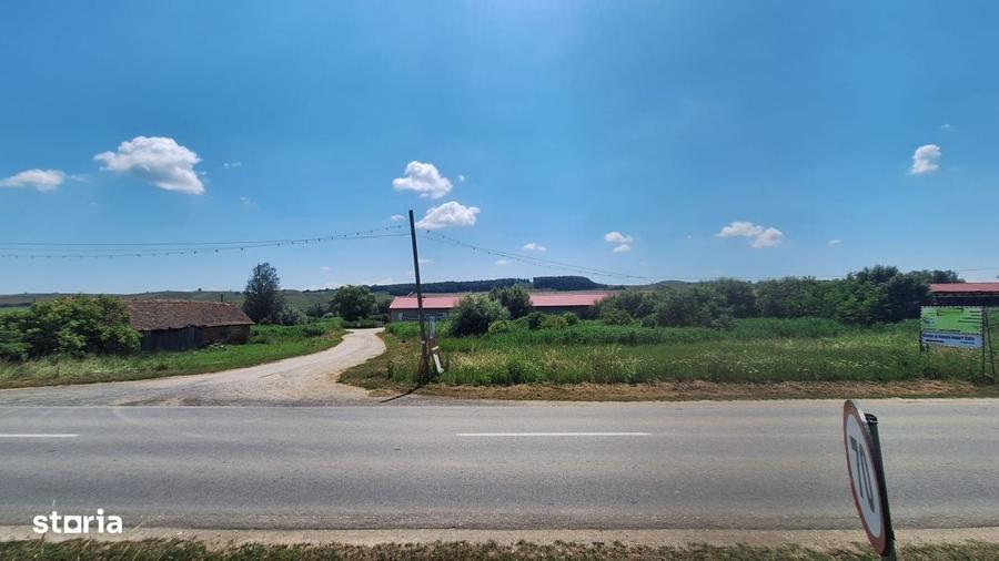 Spațiu comercial, în Central