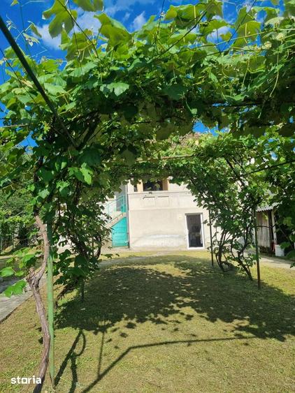 Casă cu 4 camere cu Teren 1500 Mp în Barcanele