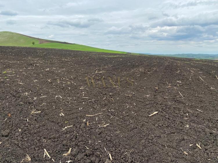 Teren agricol extravilan de 10200 mp, în Țagu
