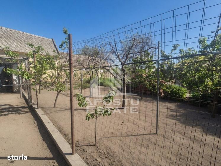 Casă cu 4 camere cu Teren 719 Mp în Periam