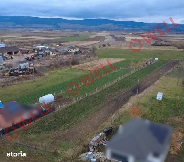 Teren de 2900 mp, în Valea Crișului