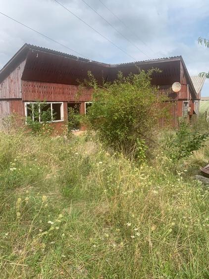 Teren de 7500 mp, în Siret