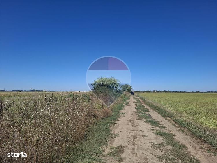 Vanzare teren extravilan 5.000mp - Pantelimon - 2