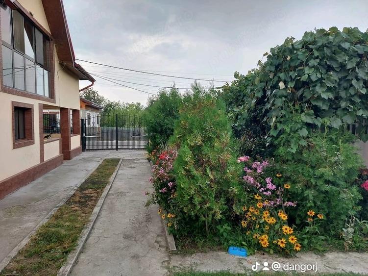 Casă cu Teren 3000 Mp în Drăguțești
