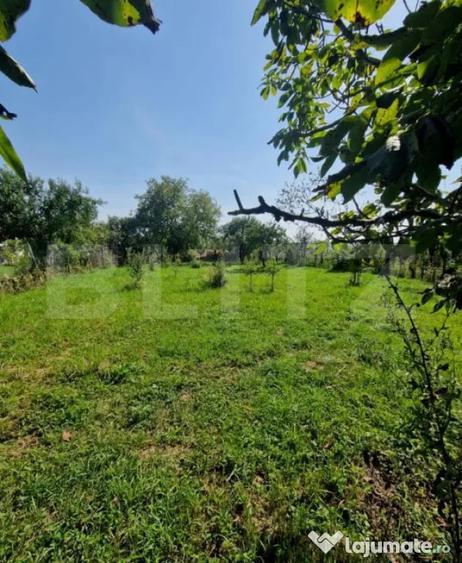 Casă cu 2 camere cu Teren 1600 Mp în Uriu