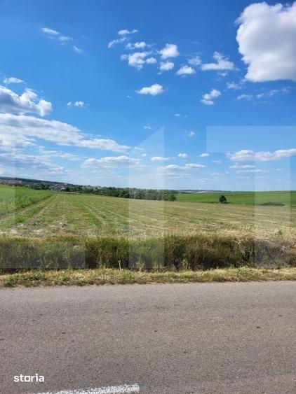 Teren de 3600 mp, în Curtești
