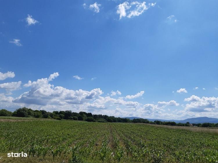 Teren agricol Podu Oltului la limita UAT Harman si UAT Prejmer - 16
