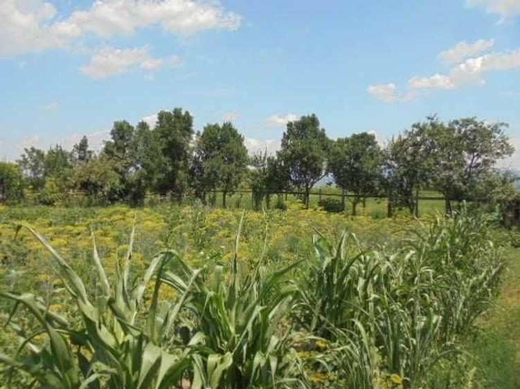 Casă cu 2 camere în Catalina