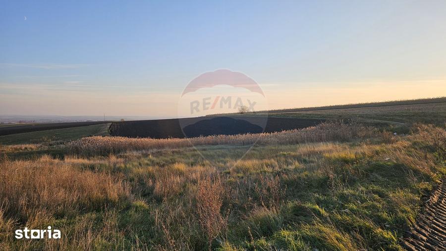 Teren extravilan 30077mp Stroiesti / Soseaua DN17, Suceava - 8
