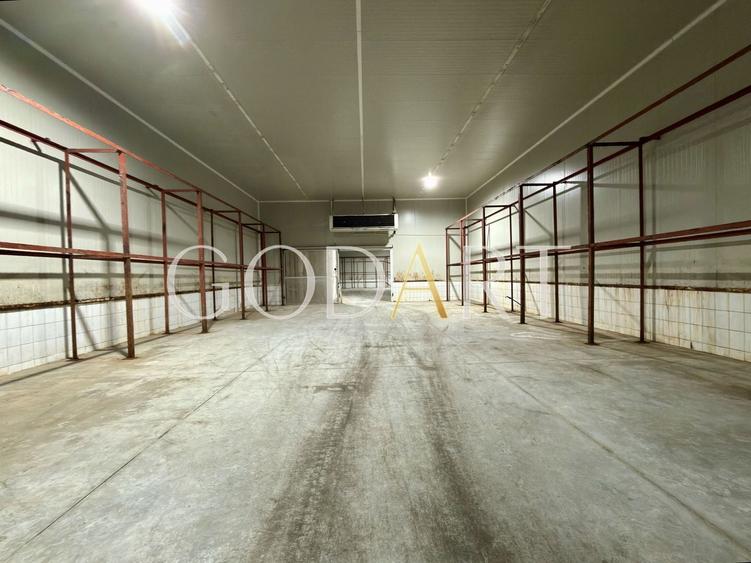 Spațiu industrial, de 4,000 mp, în Central