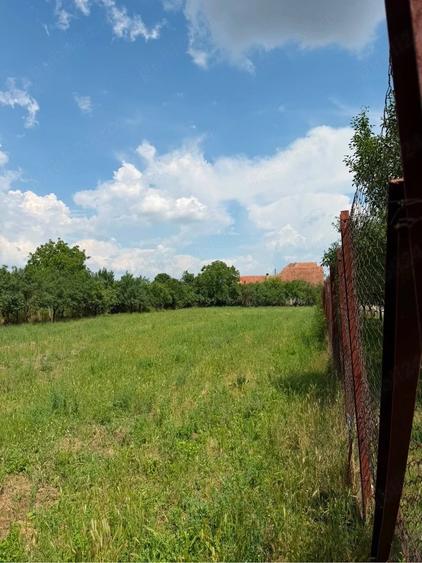 Teren de 2595 mp, în Pișchia