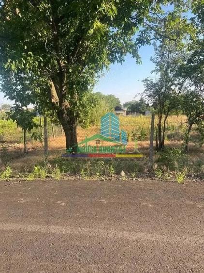 Teren de 1500 mp, în Petrești